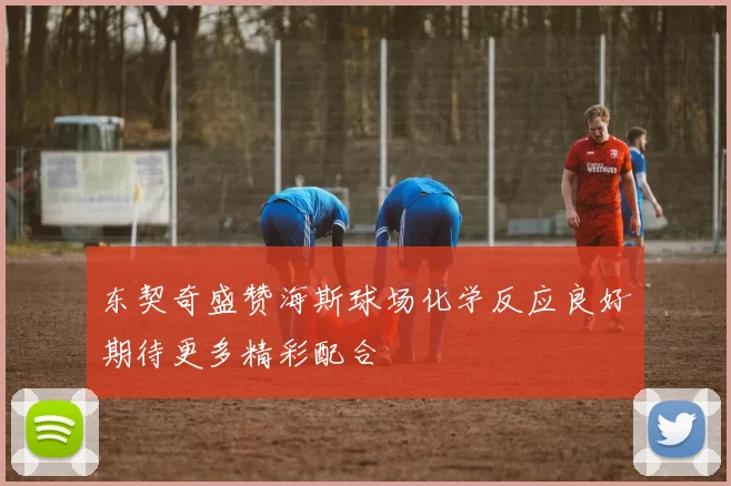 东契奇盛赞海斯球场化学反应良好期待更多精彩配合